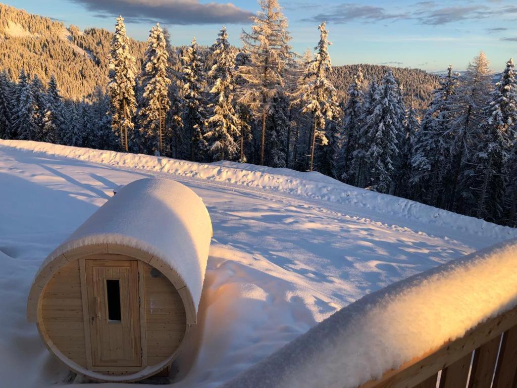 Almchalet Hüttenzauber Apartamento Klippitztorl